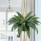 🌿🏡Artificial Hanging Fern Plant – Effortless Greenery for Home & Garden