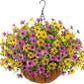 ☀️2026 Summer Hot Sale 49% OFF🌿 Lifelike Artificial Hanging Silk Flower Basket