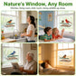 ☀️2026 Summer Hot Sale 49% OFF🐦 Window Bird Feeder with Strong Suction Cups – Watch Wild Birds Up Close